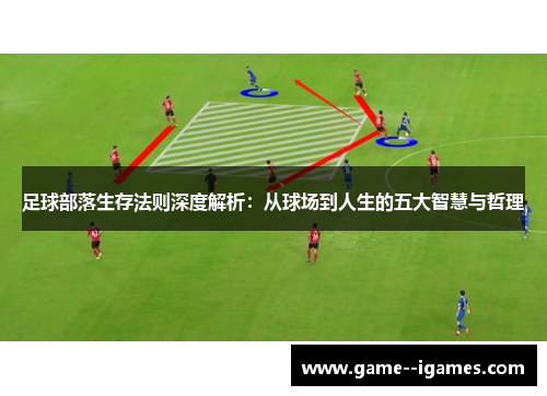 足球部落生存法则深度解析：从球场到人生的五大智慧与哲理